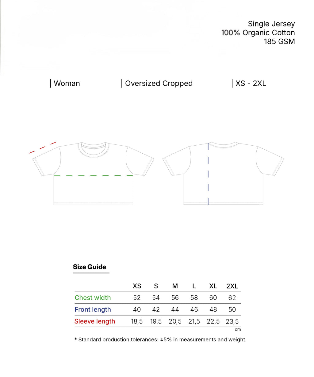Camiseta Oversize Cropped RS – Mujer